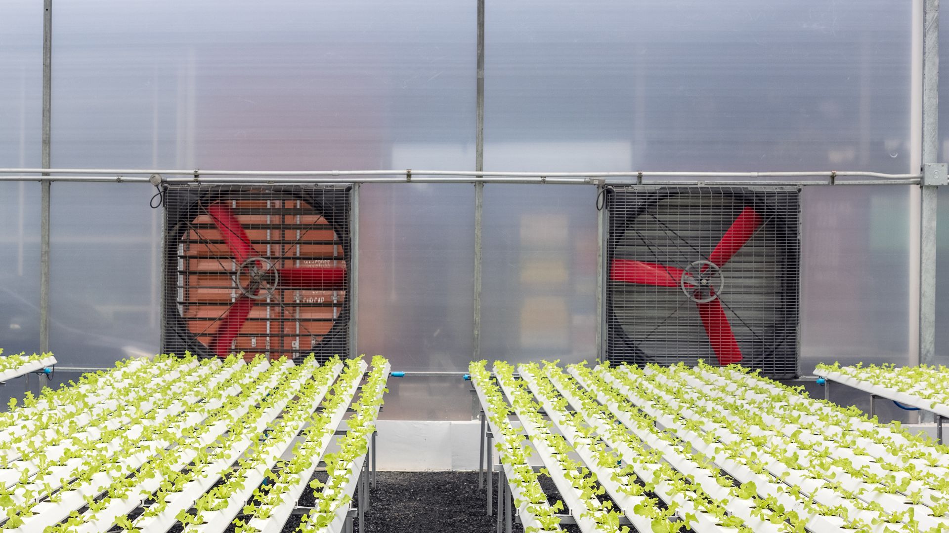 Climate Control Installation