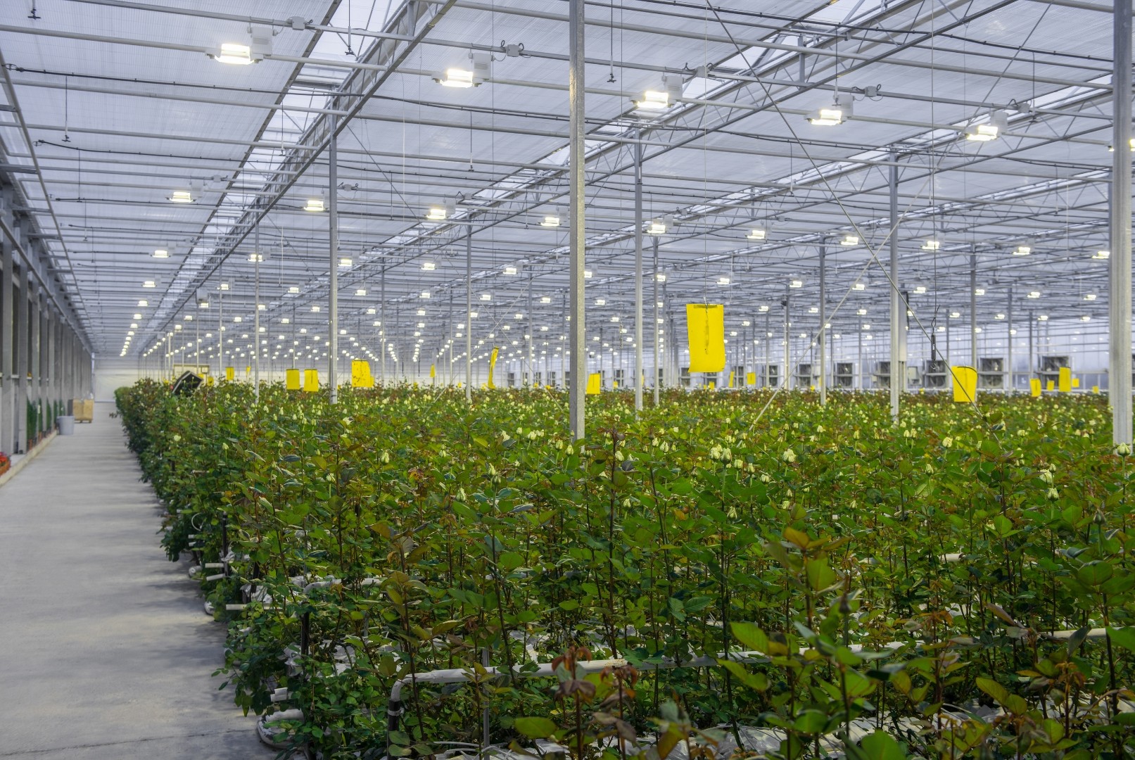 Retractable Roof Installation