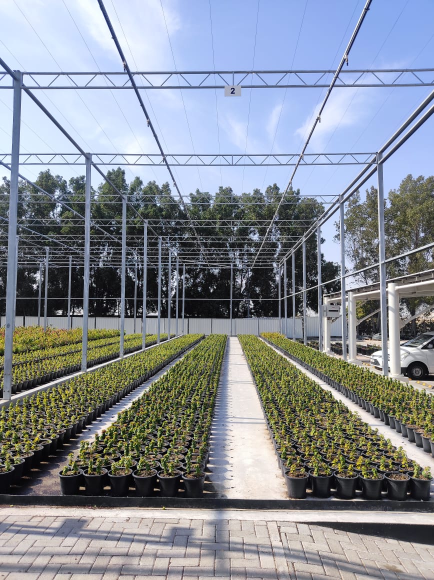 Steel Structure Fabrication